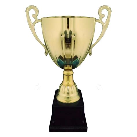 Image result for Copa Python E