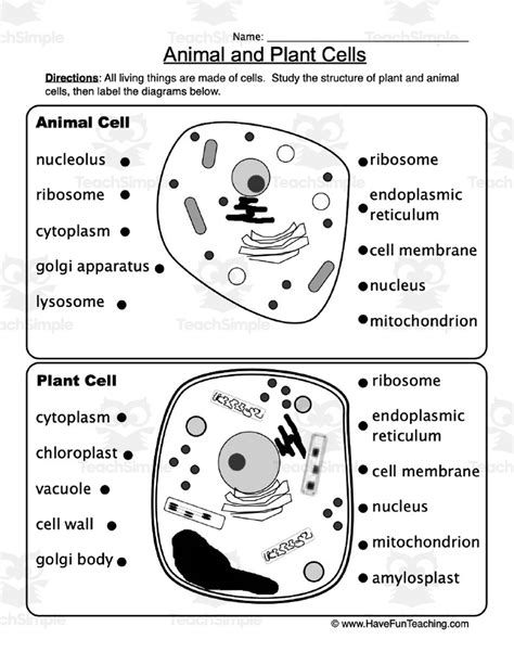 Cell Structure Worksheet 的图像结果