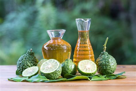 Bergamot Essential Oil: Everything You Need to Know | Tri Nature