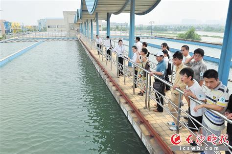 广州公布2020年治水任务 将建成6座污水处理厂_广东频道_凤凰网