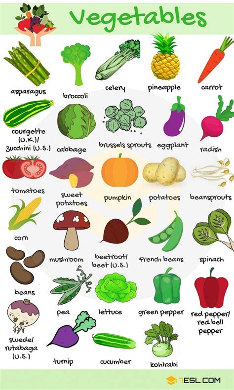 Vegetable Names • 7ESL | Learning english for kids, English vocabulary ...