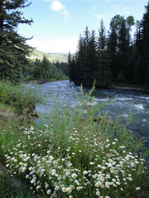 Bogan Flats Campground Colorado: Camping Reservations and Reviews