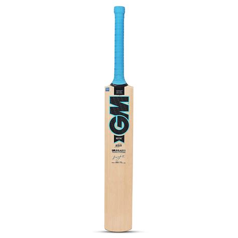 GM Neon 202 Kashmir Willow Cricket Bat for Leather Ball | Size-5 ...