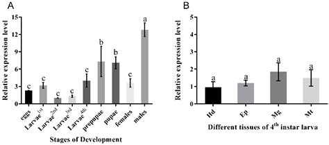 Pharmacological Properties and Function of the PxOctβ3 Octopamine ...