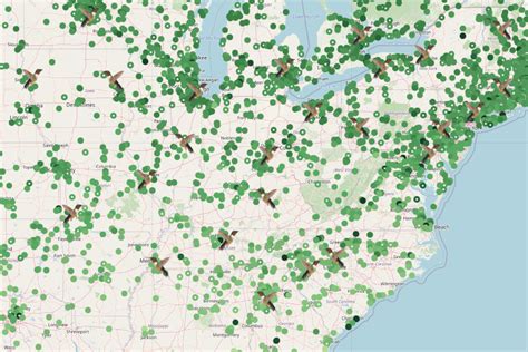 Image result for Hummingbird Tracking Map