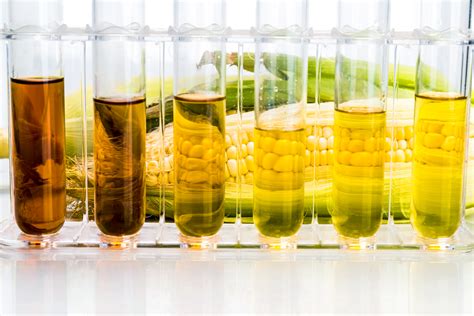 Indoi Biofuels Energy Pvt.Ltd