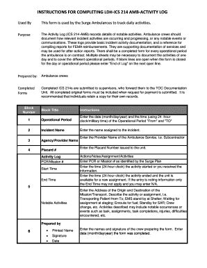 Image result for Example of ICS 214