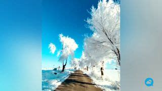 Weather Video Add 的图像结果