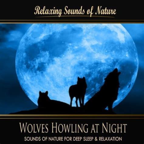 Image result for Wolves Howling Sleep Sounds