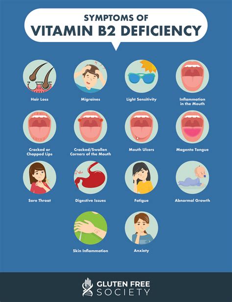 Vitamin B2 Guardian at Michaela Henderson blog