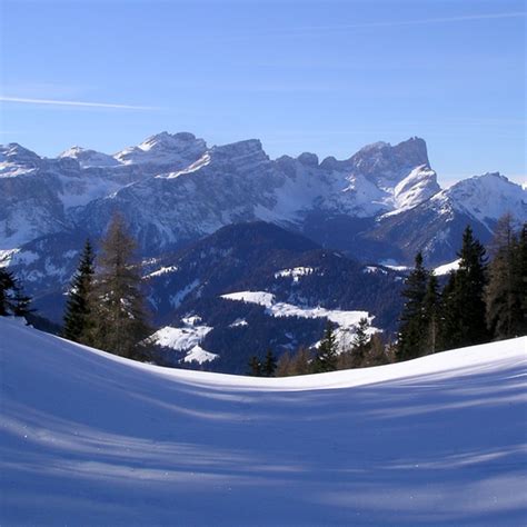 Months of the Year in English 1 - App on Amazon Appstore