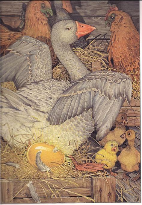 Goose Who Laid the Golden Egg Don Daily | Illustrations harry potter ...