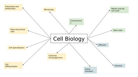 Biology Mind Map 的图像结果