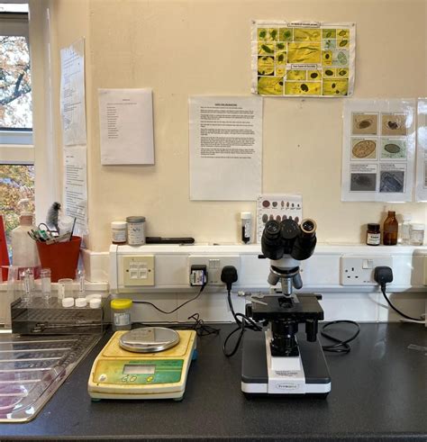 Image result for Sheep Science Lab