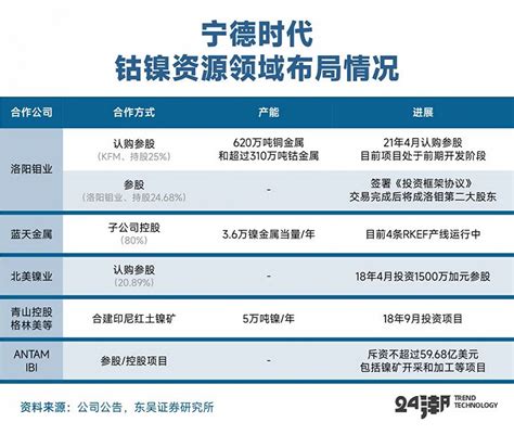 宁德时代公司2020年业务布局及财务状况分析报告.pdf | 先导研报