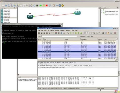 Graphical Network Simulator 的图像结果