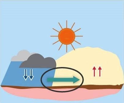 Study the arrow that is circled in the image. The sun is in the sky ...