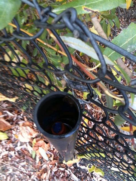 Image result for Geocaching Containers