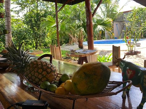 SamaraChilloutLodge Pool: Pictures & Reviews - Tripadvisor
