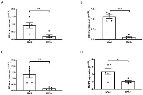 Interleukin-6 Modulates the Expression and Function of HCN Channels: A ...