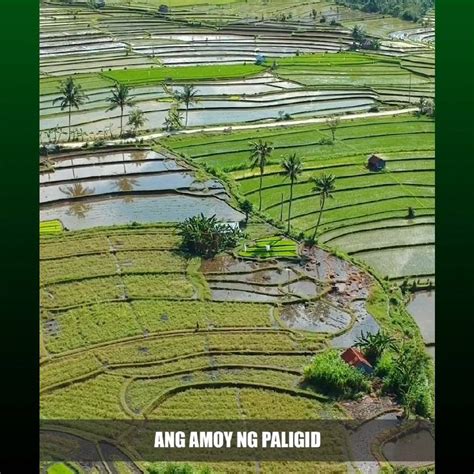 Sumakabilang titi muna si kabayan bago umuwi sa kanila