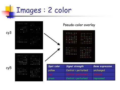 Microarray Analysis Explained 的图像结果