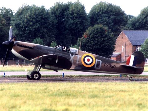 Image result for Spitfire Color Schemes