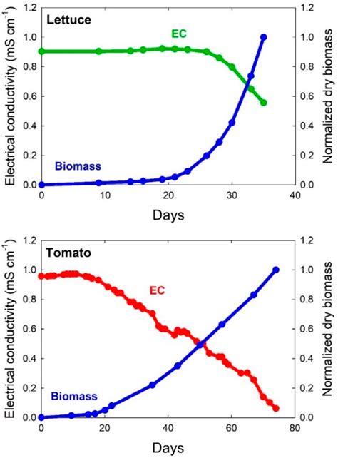 Principles of Nutrient and Water Management for Indoor Agriculture