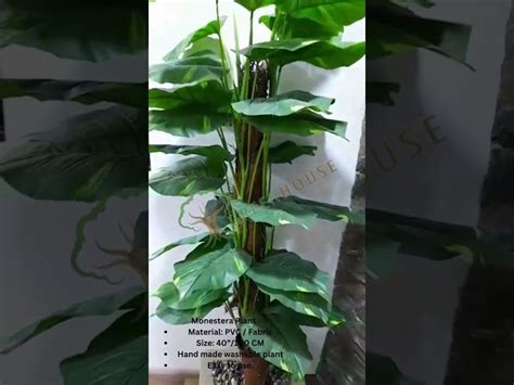 Artificial Trees - Artificial Monestera Plant TP-28 Manufacturer from ...