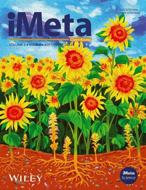 P-Value in Bioinformatics 的图像结果