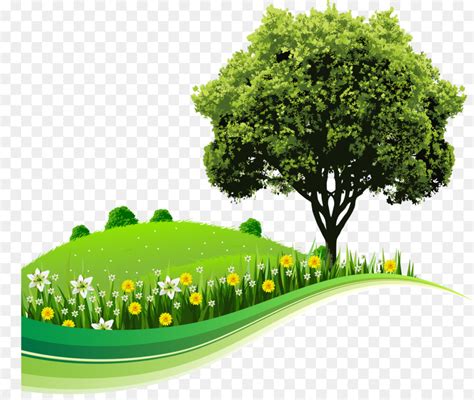 Environment Transparent Background 的图像结果