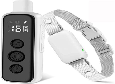 The Best Dog Shock Collars (Review) in 2023 | DogGear