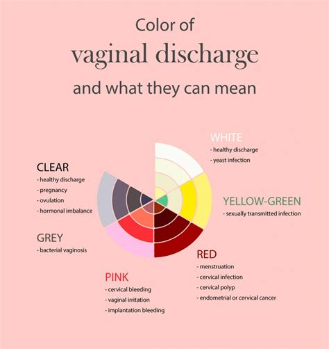 Normal Vaginal Discharge On Underwear
