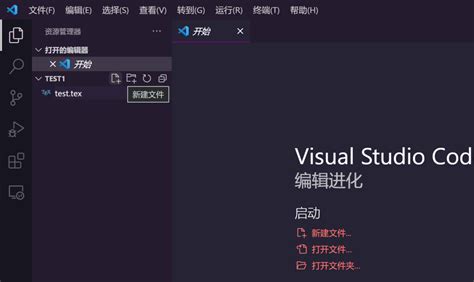 Latex Editing Tips VSCode 的图像结果