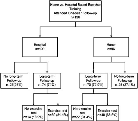 Randomisation 的图像结果