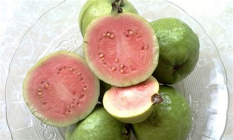 রং হারাচ্ছে কাশীর লাল পেয়ারা, ফুল ধরল আগেভাগেই
