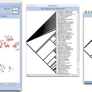 Image result for Tree Set Visualization Java