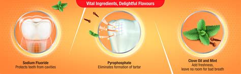 Buy Clove Power Toothpaste: Prevents cavities, tooth decay, and bad ...