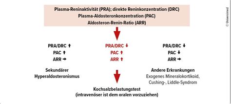 Sekundäre Hypertonie: Formen, Diagnostik & Therapiemöglichkeiten ...