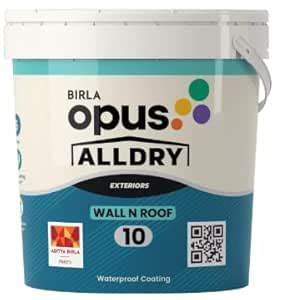 Birla Opus Alldry Wall n Roof 10 | 10-Year Waterproofing with ...
