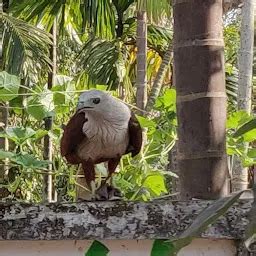 Best Top Rated Public library in North Paravur, Kerala, India | Yappe.in