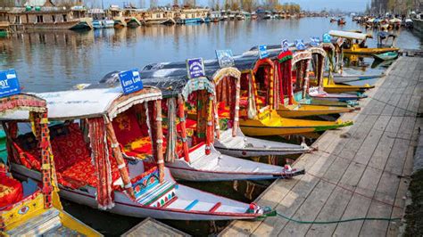 Saffron Festival in Kashmir: Get ready for Saffron Festival, Houseboat ...
