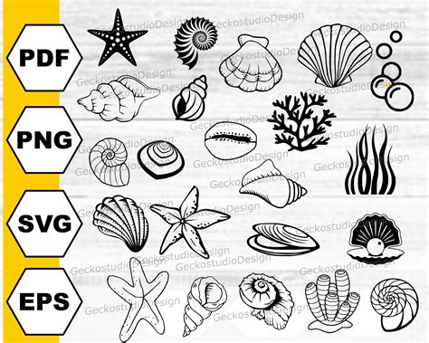 Image result for SeaShell SVG