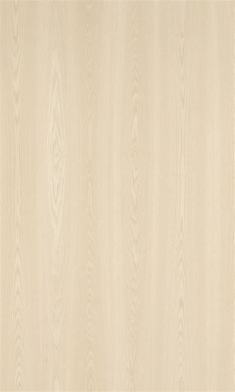 Ash Wood Texture