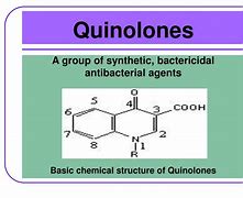Image result for quinolones