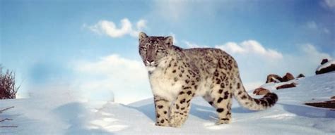 Beyond Journey - Beyond Journey