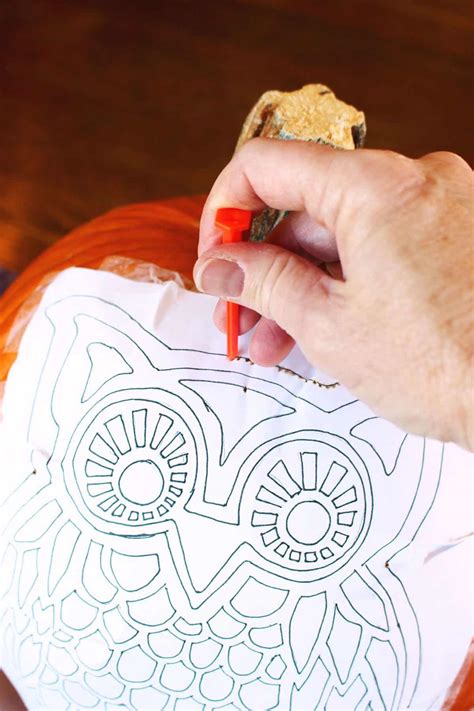 Owl Pumpkin Carving DIY Woodland Owl Pumpkin Carving (Free Stencil
