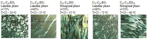 The Effect of Liquid Crystalline Structures on Antiseizure Properties ...