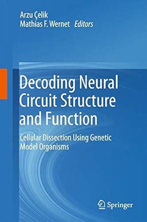 Buy Decoding Neural Circuit Structure and Function Book Online at Low ...
