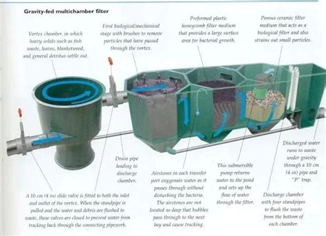 Image result for How Set Up Koi Vortex Filter System